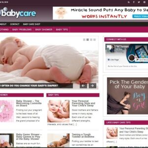 Baby Care Niche Ready Made Blog Turnkey Niche Website Business for Sale