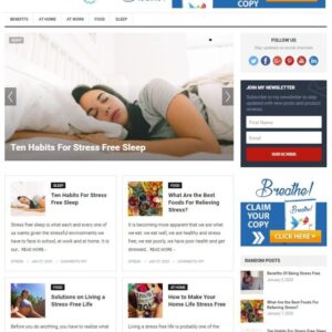 STRESS FREE WORDPRESS THEME+FREE SETUP PRE-DESIGNED BANNERS AND ADS