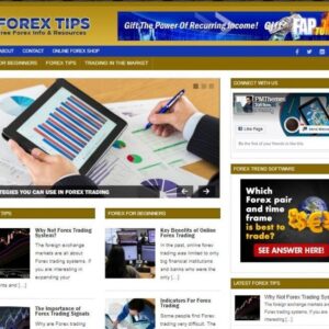 Forex Tips Ready Made Blog Turnkey Niche Website Business for Sale