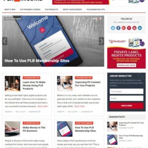 PLR WORDPRESS THEME+FREE SETUP PRE-DESIGNED BANNERS AND ADS