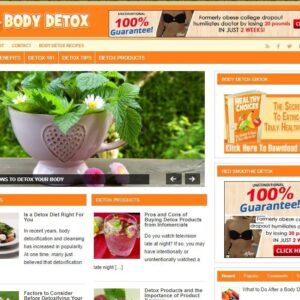Body Detox Ready Made Blog Turnkey Niche Website Business for Sale
