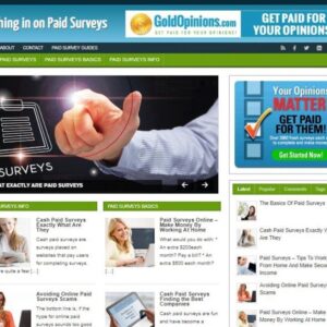 Paid Surveys Ready Made Blog Turnkey Niche Website Business for Sale