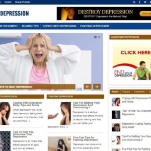 Beat Depression Ready Made Blog Turnkey Niche Website Business for Sale