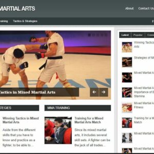 Mixed Martial Arts - Established Profitable Turnkey WordPress Website for Sale