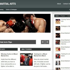 Alternative view of Mixed Martial Arts - Established Profitable Turnkey WordPress Website for Sale