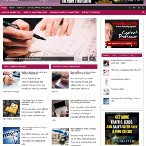 Article Marketing Tips Ready Made Blog Turnkey Niche Website Business for Sale