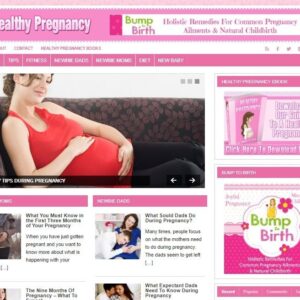 Pregnancy Ready Made Blog Turnkey Niche Website Business for Sale