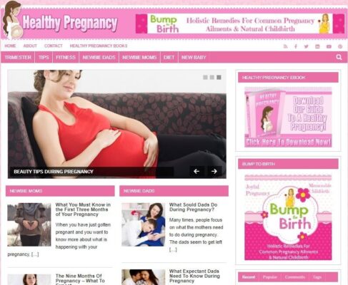 Pregnancy Ready Made Blog Turnkey Niche Website Business for Sale