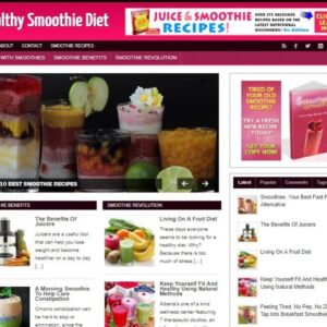 Healthy Smoothie Diet Ready Made Blog Turnkey Niche Website Business for Sale