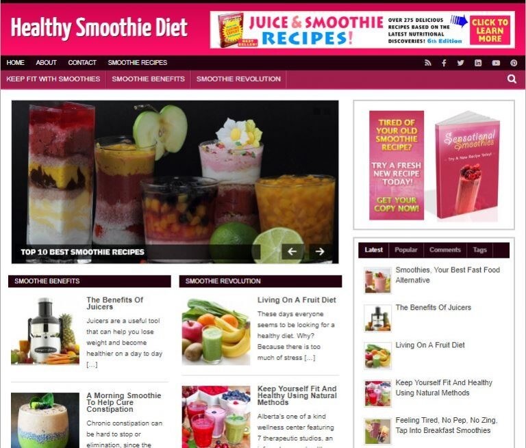 Healthy Smoothie Diet Ready Made Blog Turnkey Niche Website Business