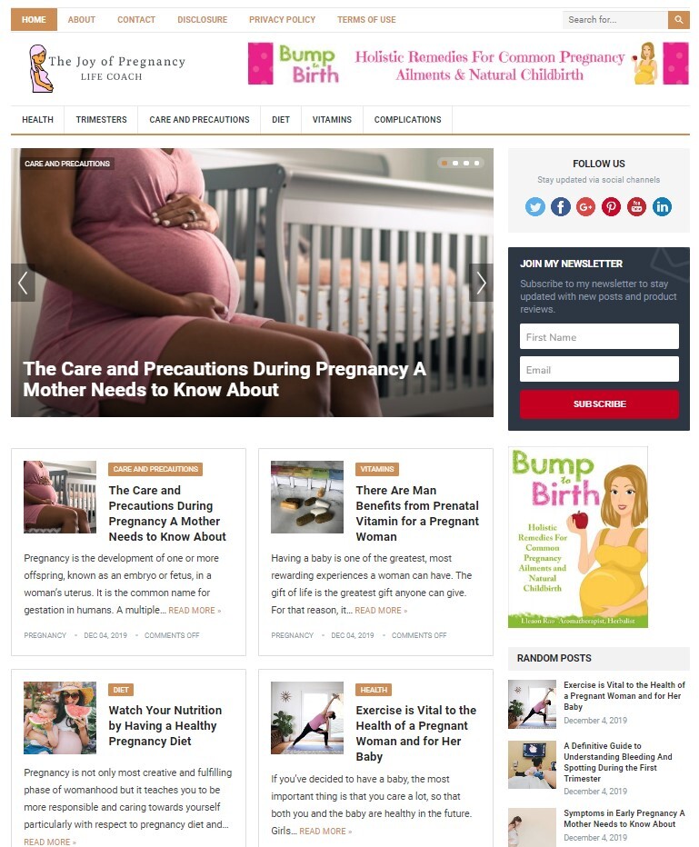 PREGNANCY WORDPRESS THEME+FREE SETUP PRE-DESIGNED BANNERS AND ADS